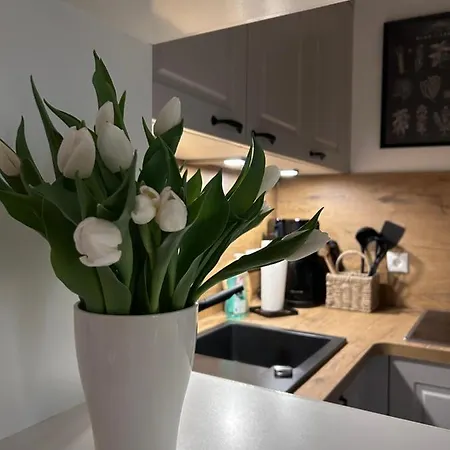 Apartment 4 Wunderschoene Im Kavaliershaus Schwerin (Mecklenburg-Vorpommern)